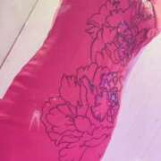 ヒメ日記 2025/07/13 22:30 投稿 まこ 石庭