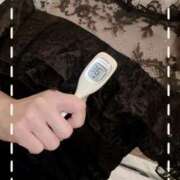 ヒメ日記 2025/07/15 14:20 投稿 まこ 石庭