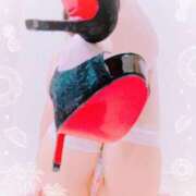 ヒメ日記 2025/07/16 10:30 投稿 まこ 石庭