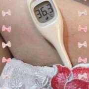 ヒメ日記 2025/07/22 12:05 投稿 まこ 石庭