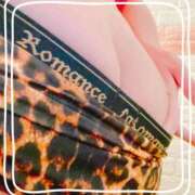 ヒメ日記 2025/07/23 21:30 投稿 まこ 石庭