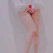 ヒメ日記 2025/07/24 12:05 投稿 まこ 石庭