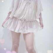 ヒメ日記 2025/07/24 22:00 投稿 まこ 石庭