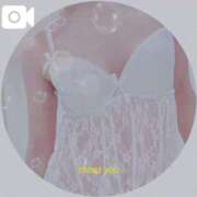 ヒメ日記 2025/07/26 21:20 投稿 まこ 石庭