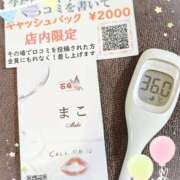 ヒメ日記 2025/07/27 12:33 投稿 まこ 石庭