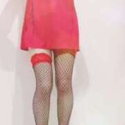 ヒメ日記 2025/07/29 20:50 投稿 まこ 石庭