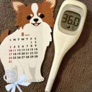 ヒメ日記 2025/08/02 13:35 投稿 まこ 石庭