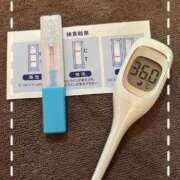 ヒメ日記 2025/08/05 11:50 投稿 まこ 石庭