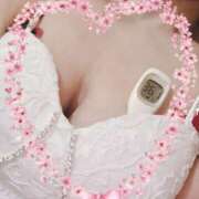 ヒメ日記 2025/08/06 13:20 投稿 まこ 石庭