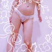 ヒメ日記 2025/08/07 10:30 投稿 まこ 石庭