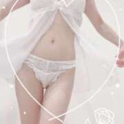 ヒメ日記 2025/08/07 12:20 投稿 まこ 石庭