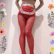 ヒメ日記 2025/08/09 10:37 投稿 まこ 石庭