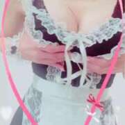 ヒメ日記 2025/08/12 12:30 投稿 まこ 石庭