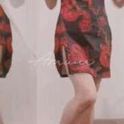 ヒメ日記 2025/08/12 20:50 投稿 まこ 石庭