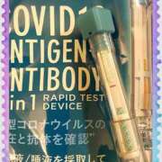 ヒメ日記 2025/08/13 13:20 投稿 まこ 石庭