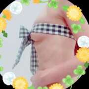 ヒメ日記 2025/08/19 21:04 投稿 まこ 石庭