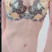 ヒメ日記 2025/08/20 10:30 投稿 まこ 石庭