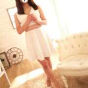 ヒメ日記 2025/08/20 14:20 投稿 まこ 石庭