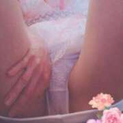 ヒメ日記 2025/08/21 21:40 投稿 まこ 石庭