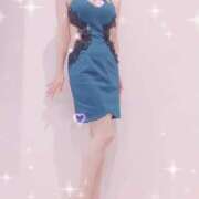 ヒメ日記 2025/08/21 21:47 投稿 まこ 石庭