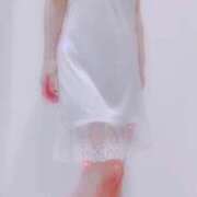 ヒメ日記 2025/08/24 21:20 投稿 まこ 石庭