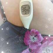 ヒメ日記 2025/08/26 13:20 投稿 まこ 石庭