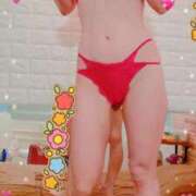 ヒメ日記 2025/08/27 09:30 投稿 まこ 石庭