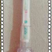 ヒメ日記 2025/08/30 17:20 投稿 まこ 石庭