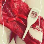 ヒメ日記 2025/08/31 14:20 投稿 まこ 石庭