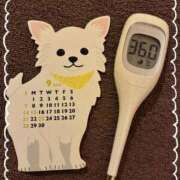 ヒメ日記 2025/09/02 13:35 投稿 まこ 石庭