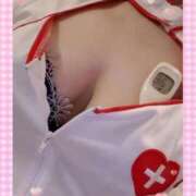 ヒメ日記 2025/09/06 14:20 投稿 まこ 石庭