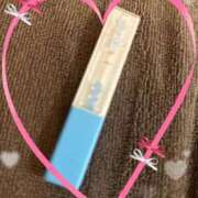 ヒメ日記 2025/09/06 14:30 投稿 まこ 石庭