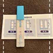 ヒメ日記 2025/09/07 12:50 投稿 まこ 石庭