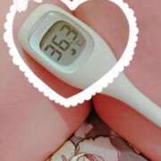 ヒメ日記 2025/09/07 13:20 投稿 まこ 石庭