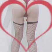 ヒメ日記 2025/09/07 21:30 投稿 まこ 石庭