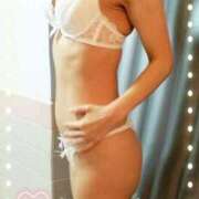 ヒメ日記 2025/09/09 10:30 投稿 まこ 石庭