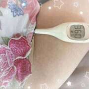 ヒメ日記 2025/09/09 11:30 投稿 まこ 石庭