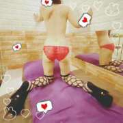 ヒメ日記 2025/09/13 22:20 投稿 まこ 石庭