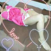 ヒメ日記 2025/09/16 20:50 投稿 まこ 石庭