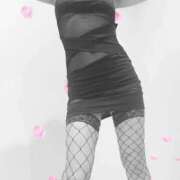 ヒメ日記 2025/09/16 21:40 投稿 まこ 石庭