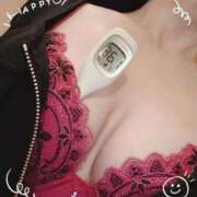 ヒメ日記 2025/09/17 12:33 投稿 まこ 石庭