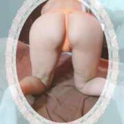 ヒメ日記 2025/09/20 21:30 投稿 まこ 石庭