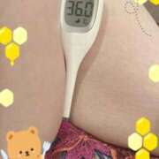 ヒメ日記 2025/09/21 12:26 投稿 まこ 石庭