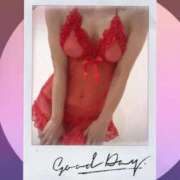 ヒメ日記 2025/09/21 21:20 投稿 まこ 石庭