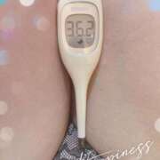 ヒメ日記 2025/09/24 11:50 投稿 まこ 石庭