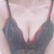 ヒメ日記 2025/09/27 20:50 投稿 まこ 石庭