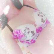 ヒメ日記 2025/09/30 09:56 投稿 まこ 石庭