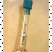 ヒメ日記 2025/10/01 13:20 投稿 まこ 石庭