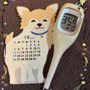 ヒメ日記 2025/10/01 13:35 投稿 まこ 石庭