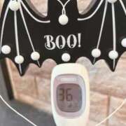 ヒメ日記 2025/10/04 14:50 投稿 まこ 石庭